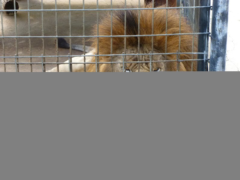 Eureka Springs 2013 068